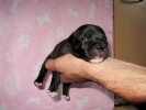Good Morning 2 Weeks Old